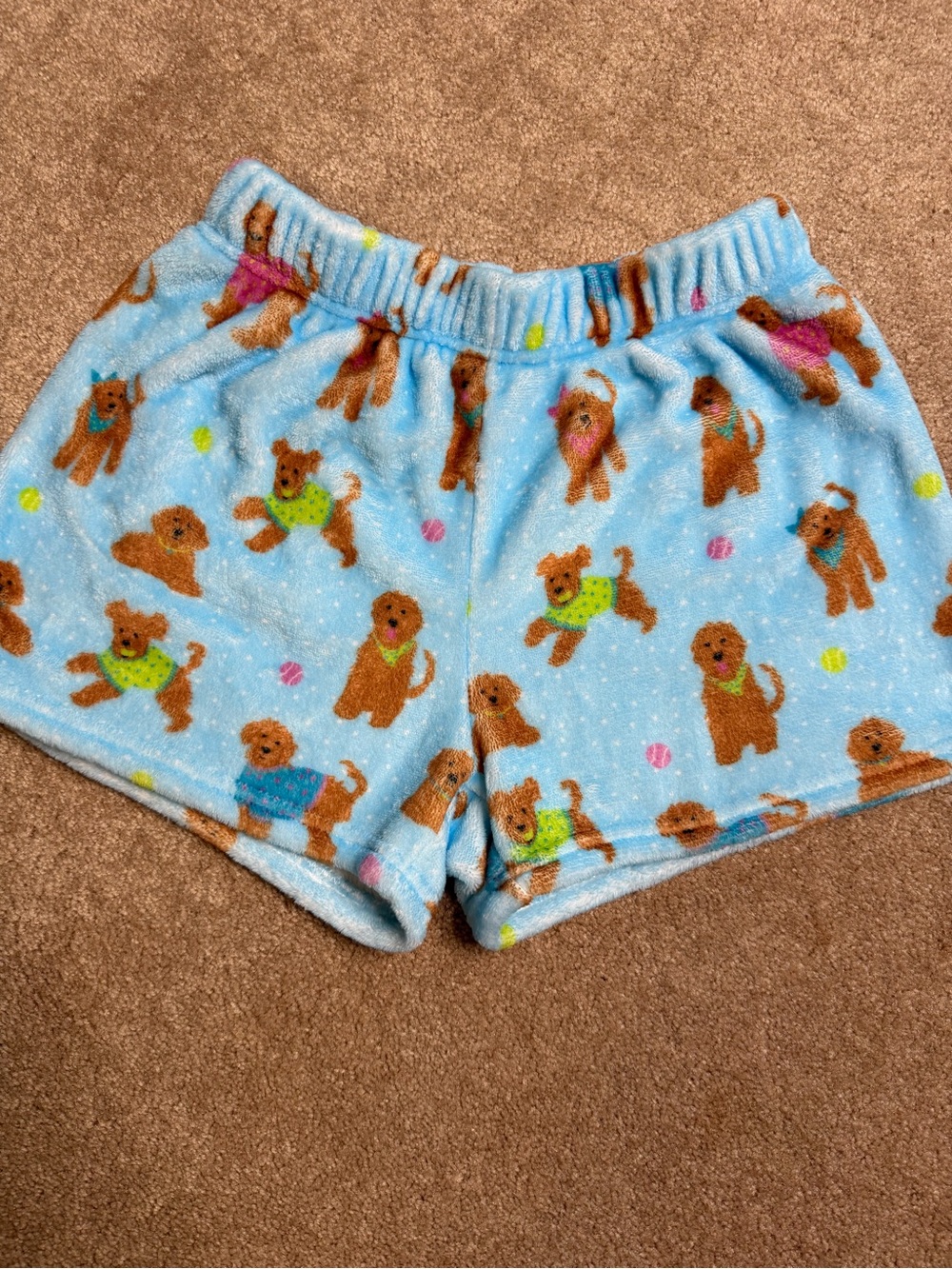 Kids Light Blue Plush Shorts with Puppy Print